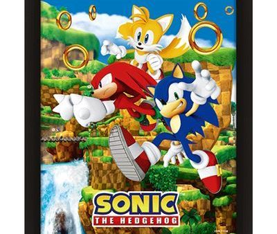 Póster 3D Sonic The Hedgehog - Pyramid International For Discount