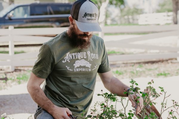 ARE Logo Short Sleeve Online